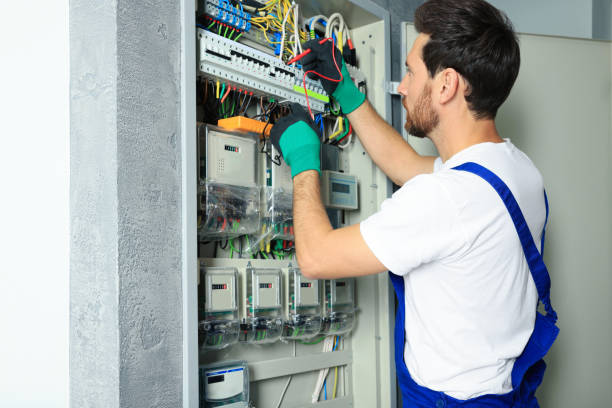 Best Electrical Rewiring Services  in Deerfield, MI