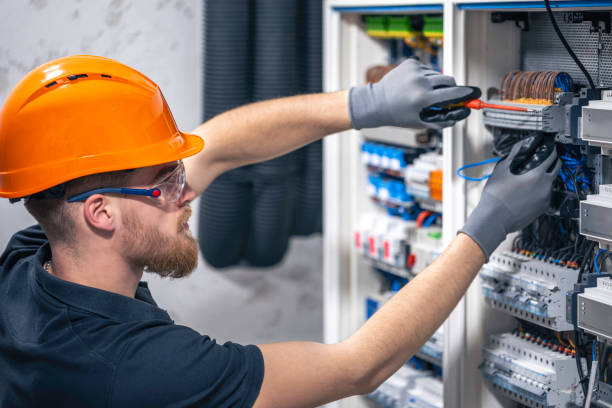 Best Electrician for Home Renovation  in Deerfield, MI