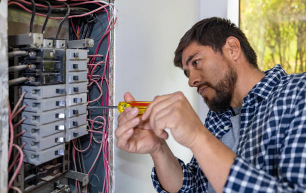 Best Electrical Repair Services  in Deerfield, MI